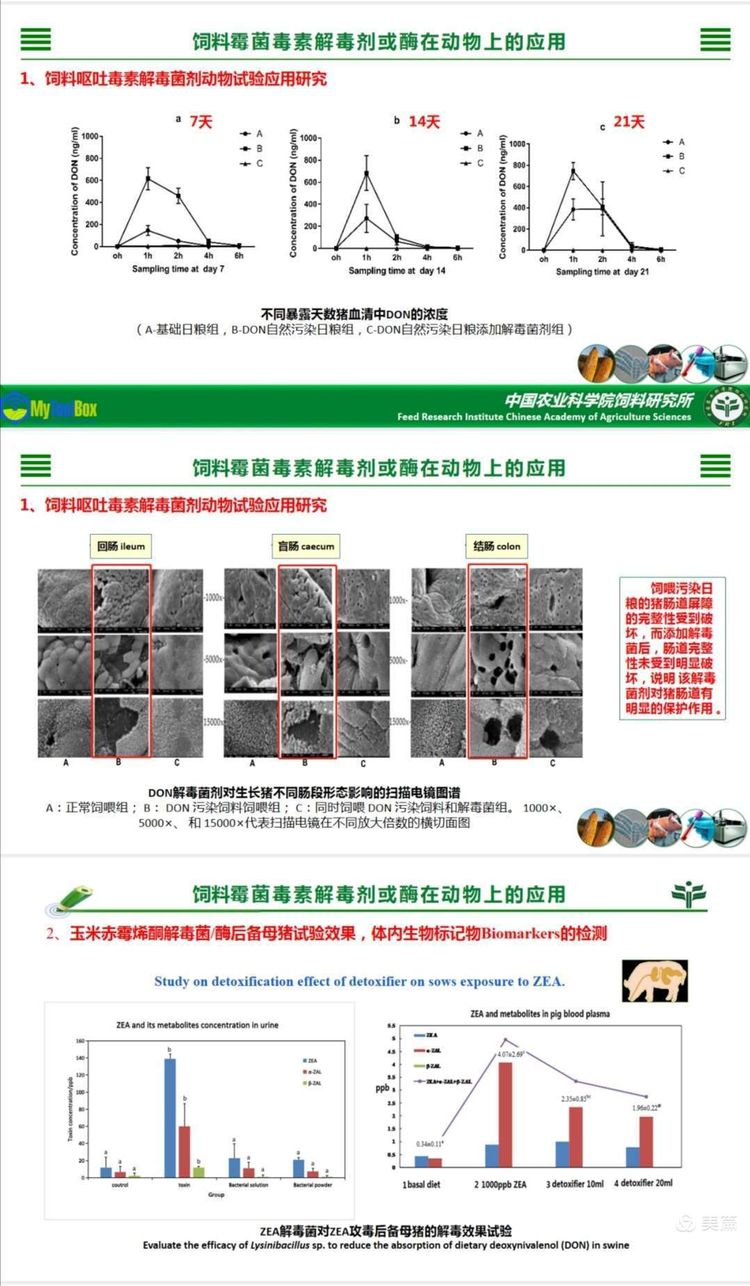 微(wēi)信圖片_20201217114522
