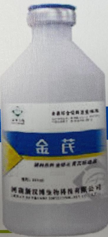 金(jīn)芪